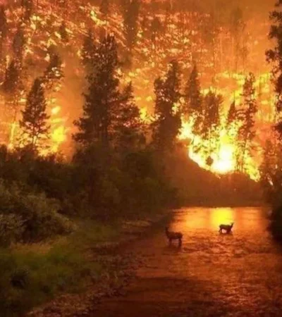 incendio-Amazonas-Río-de-La-Plata