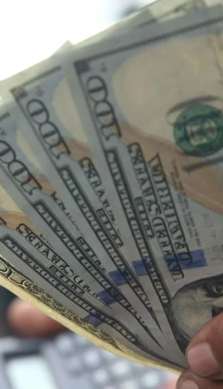 Arbolitos-Dólar-Casas-de-Cambio-1