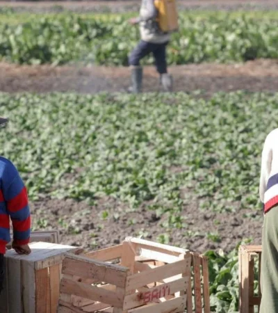Trabajo-Infantil-Mendoza