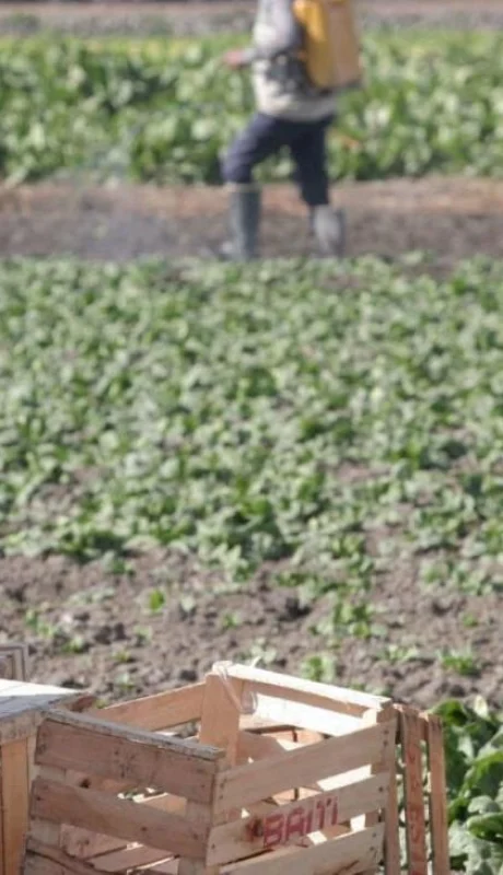 Trabajo-Infantil-Mendoza