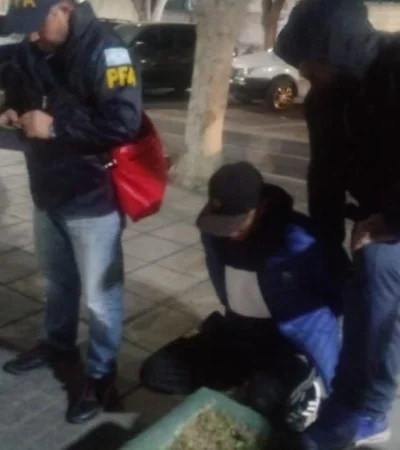 operacion-palomo-verde-el-hueso-3