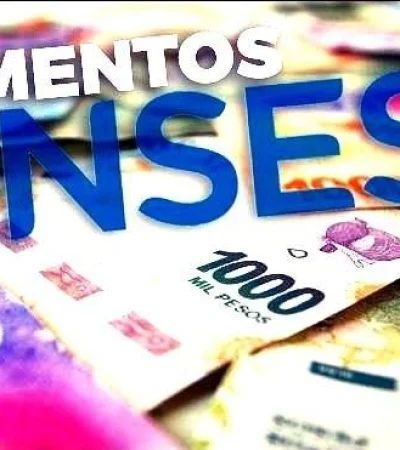 anses-plan-cuna-2019