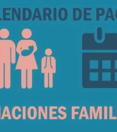 anses-que-es-el-programa-cuna