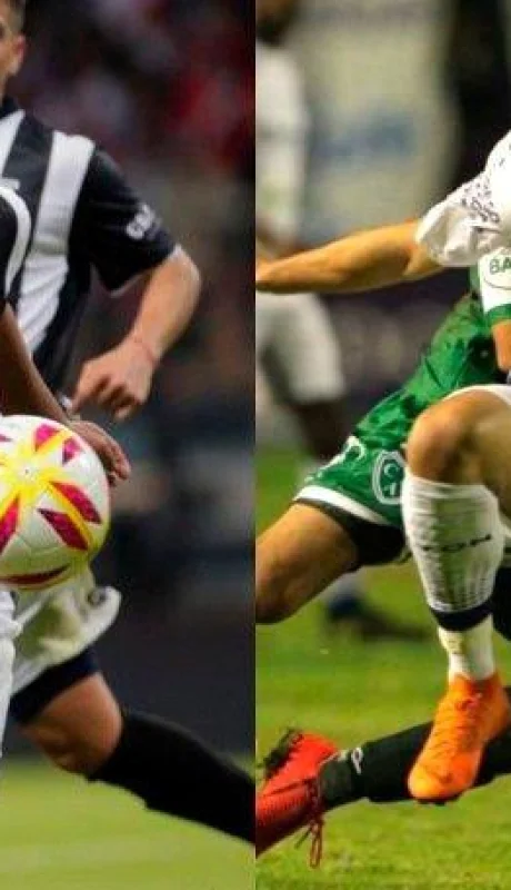 WhatsApp-Image-2019-08-01-at-18.38.20