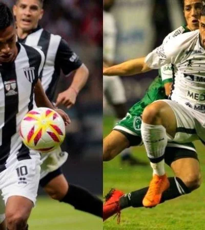 WhatsApp-Image-2019-08-01-at-18.38.20