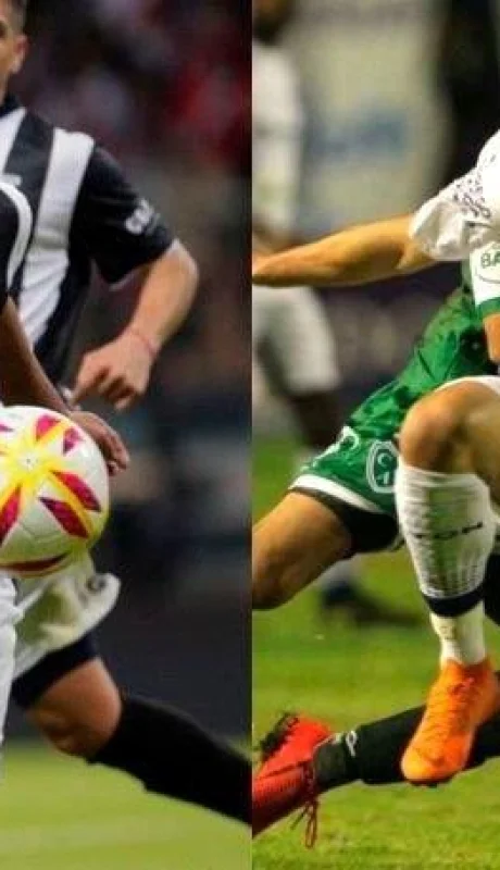 WhatsApp-Image-2019-08-01-at-18.38.20