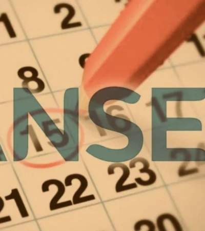 anses-que-cobro-2019-agosto