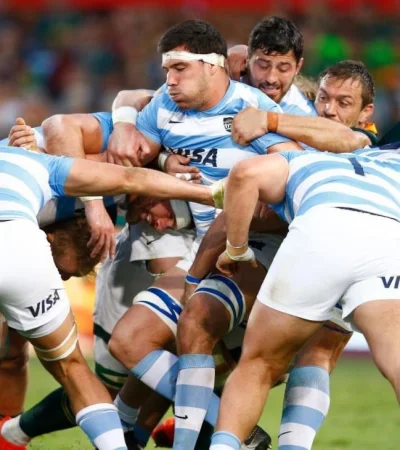 los-pumas-sudáfrica