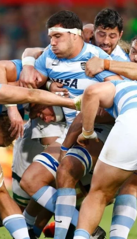 los-pumas-sudáfrica