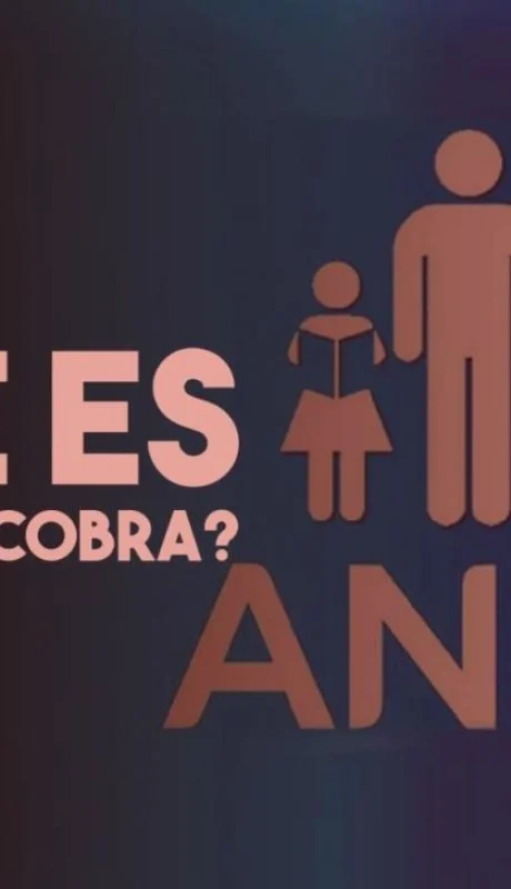 cuna-anses-cuanto-pagan