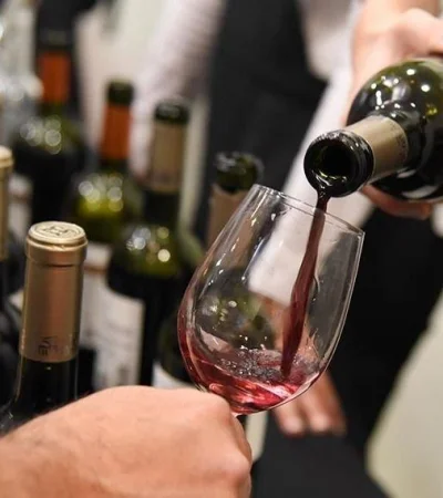 feria-vinos-fundacion-accionar-sofía-haudet-3