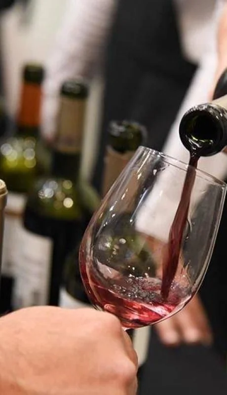 feria-vinos-fundacion-accionar-sofía-haudet-3