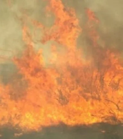 70490118_514928785936425_7903368062391287808_n