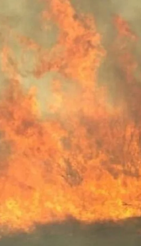 70490118_514928785936425_7903368062391287808_n