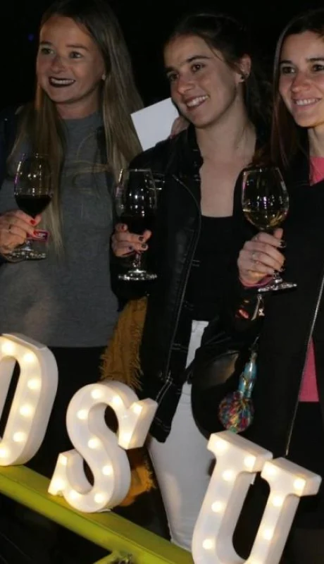 peatonal-vino-2019-mendoza-grilla-precios-artistas-8