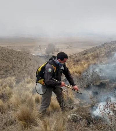 incendios-forestales