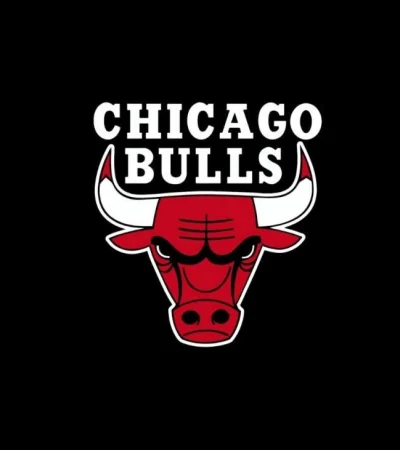 bulls