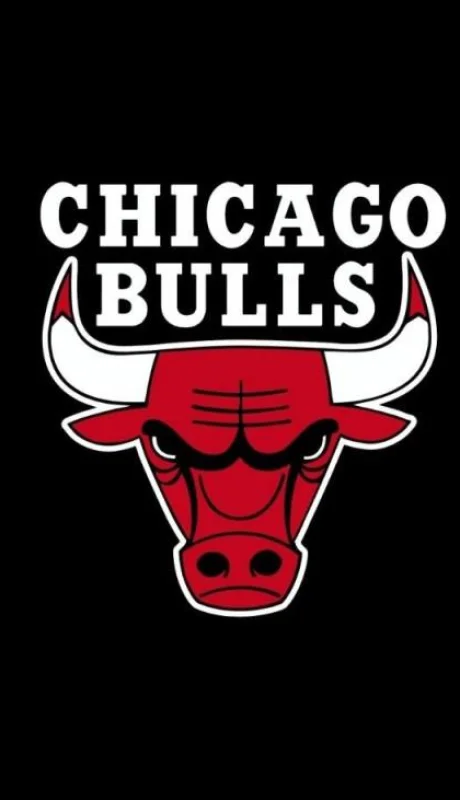 bulls