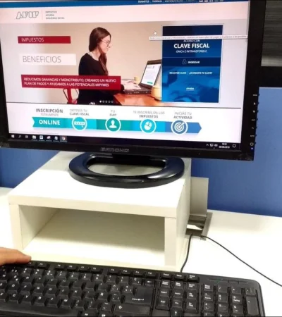 afip-constancia-cuit-online