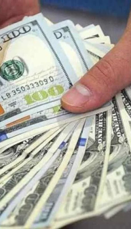 dolar-dolares-hoy-cotizacion-