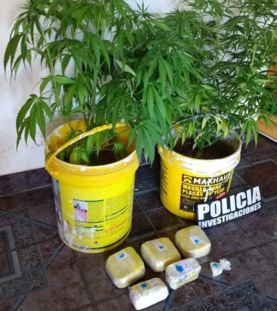 droga-allanamiento-cocaína-policiales