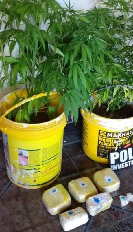 droga-allanamiento-cocaína-policiales