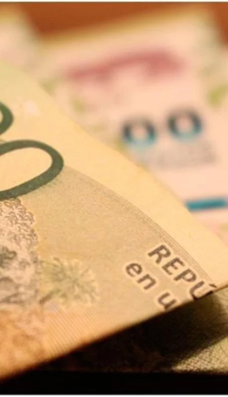 anses-cuanto-cobro-auh