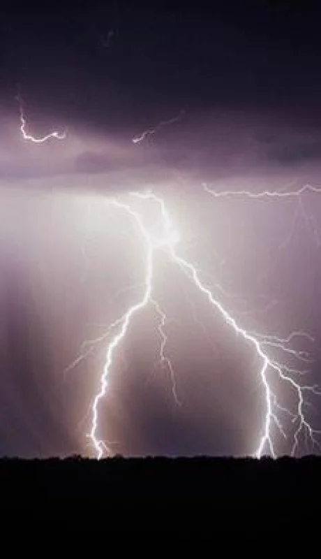 Alberto-Fernandez-tapa