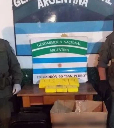 cocaína-droga-secuestro-perro-2