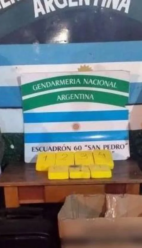 cocaína-droga-secuestro-perro-2