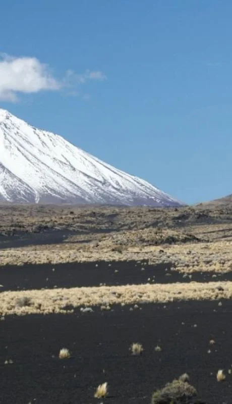 Las-tierras-volcánicas-de-la-Payunia