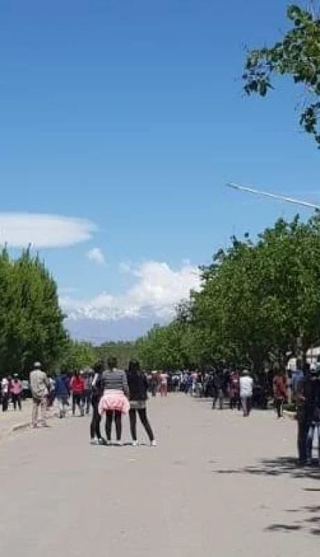 WhatsApp-Image-2019-10-21-at-12.31.39