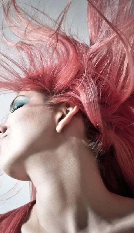 peinado-forma-pene-cabeza-foto-viral-2