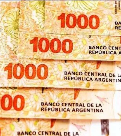 bonificacion-especial-2019-anses