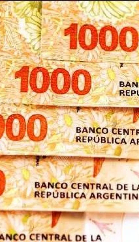 bonificacion-especial-2019-anses