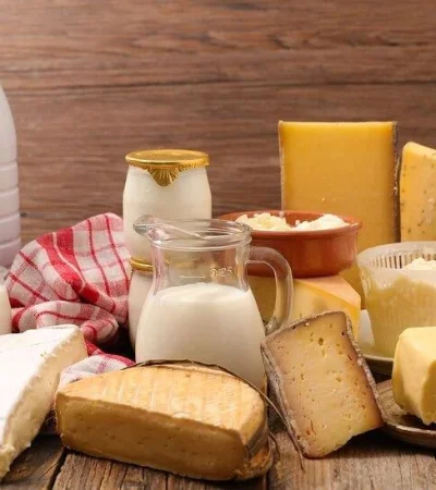 productos-lacteos-queso-leche-yogur-sociedad-argentina-de-nutricion-aumento-suba-de-peso