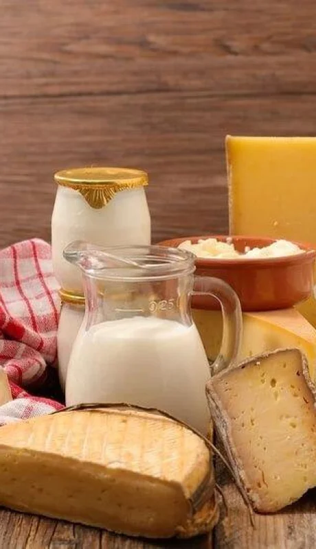 productos-lacteos-queso-leche-yogur-sociedad-argentina-de-nutricion-aumento-suba-de-peso