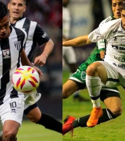 WhatsApp-Image-2019-08-01-at-18.38.20