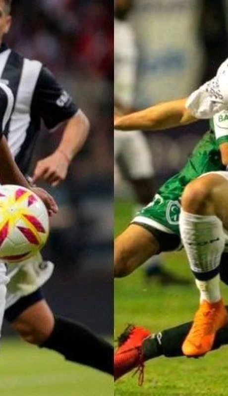 WhatsApp-Image-2019-08-01-at-18.38.20