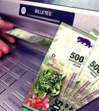 presentar-libreta-anses-online