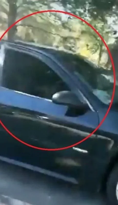 auto-ventana-gatos-video-viral-