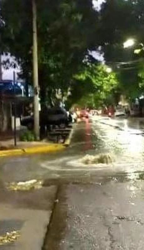 76710800_640687609798261_7848695864607375360_n