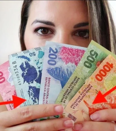 anses-fecha-de-cobro-noviembre-diciembre-2019