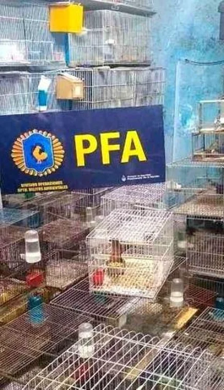 pfa
