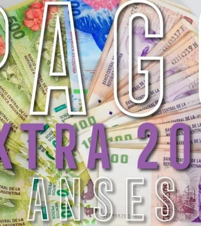 pago-extra-2019-anses-libreta
