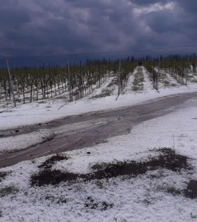 granizo-mendoza-piedra-tormenta-jueves-88