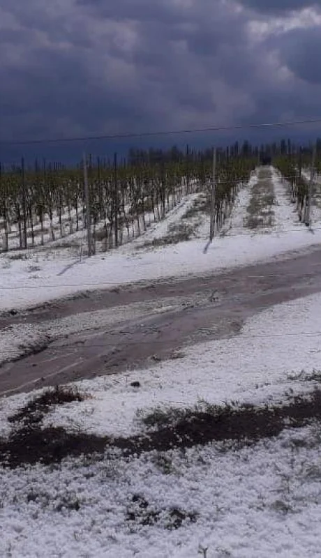 granizo-mendoza-piedra-tormenta-jueves-88
