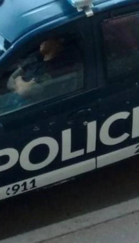 policiales-mendoza-hoy-asaltos