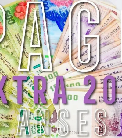 pago-extra-2019-anses-libreta