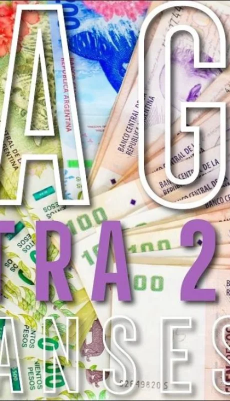 pago-extra-2019-anses-libreta